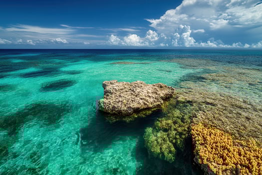 Serene tropical seascape with clear turquoise waters. photo