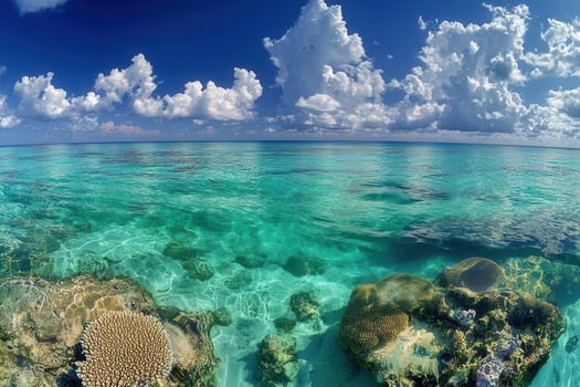 Clear turquoise waters with coral and clouds above. photo