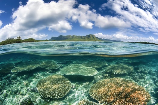 Underwater coral reef with mountains in the background. photo