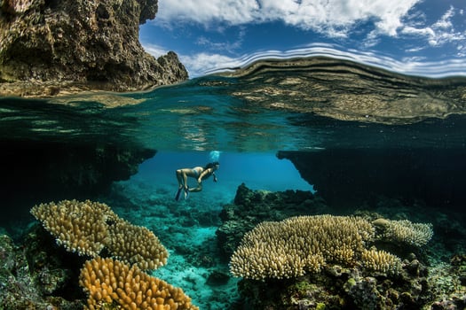 Underwater scene with coral reefs and a swimmer. photo