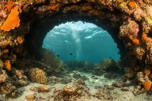 Underwater view through a coral archway. photo