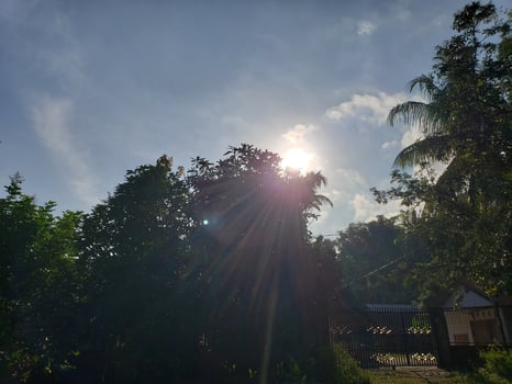 Sun Shining Through Trees in a Blue Sky with White Clouds photo