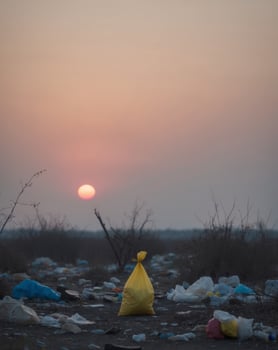 Pollution at Sunset A Yellow Plastic Bag Among Litter in a Natural Landscape photo