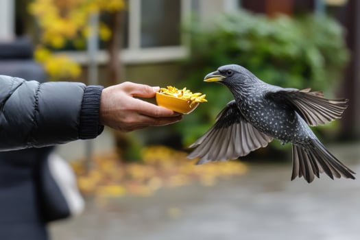 A person feeding a bird with a piece of food photo