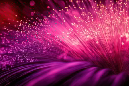 A close up of a purple fiber optic cable photo