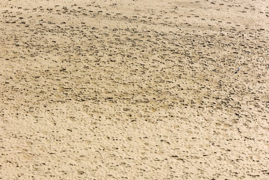 Human footprints on the sand of the sea bottom photo