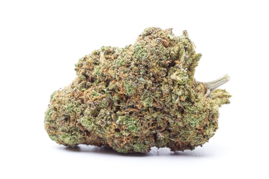 Cannabis flower isolated on white background photo