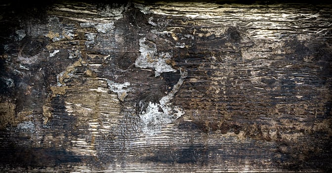 Texture of natural old wood. Natural background. Close-up. Top view. Selective focus. photo