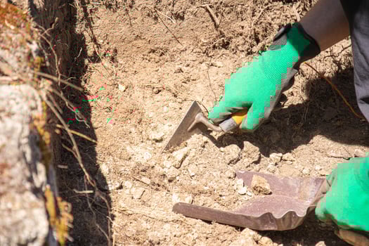 An archaeologist digs away the soil at a dig site using a small trowel for the job. photo