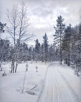 Skitrack in the wilderness with snow and overcast sky photo
