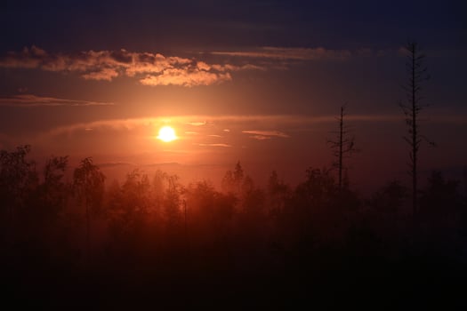 Misty sunset over a mysterious forest silhouette photo