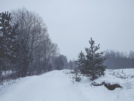 Winter rural landscape photo
