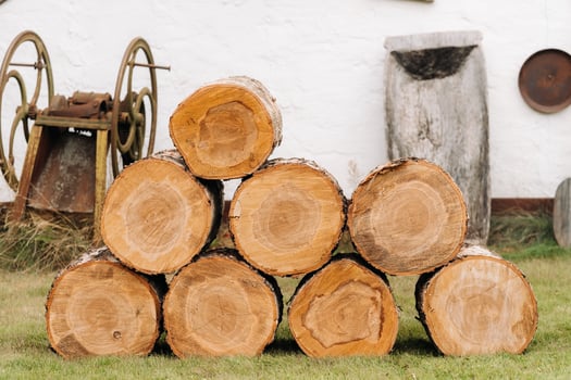 Round firewood is stacked near the shed for subsequent cutting photo