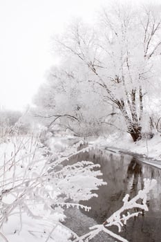 Snow-covered landscape of open spaces near the river. Snowy weather photo