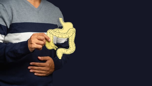 Hand holding a colon symbol and touching stomach painful suffering from stomachache causes of gastric ulcer, appendicitis, or gastrointestinal system disease photo