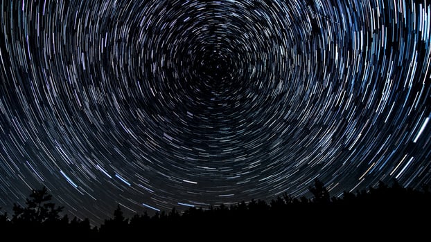 Star trails in the night sky. Stars move around a polar star. Silhouettes of trees photo