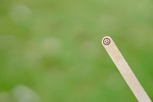 close up of smiling emoji on a popsicle stick as a concept of the spirit of life photo