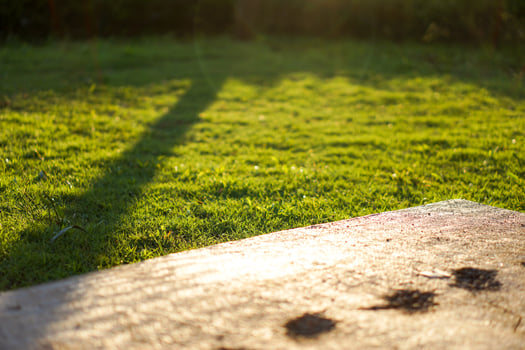 A beautiful courtyard with green grass and shadows of trees in the afternoon. Bokeh effect for the background photo