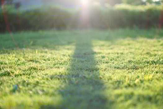 A beautiful courtyard with green grass and shadows of trees in the afternoon. Bokeh effect for the background photo