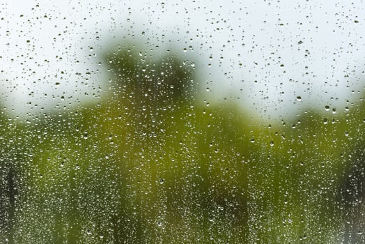Rain water drops on a window glass photo