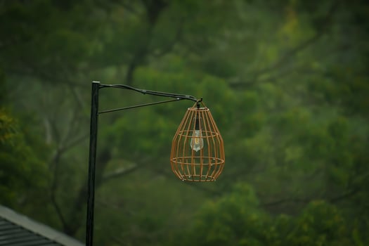 A stylish hanging light fixture decorated with a metal cage against a green backdrop photo
