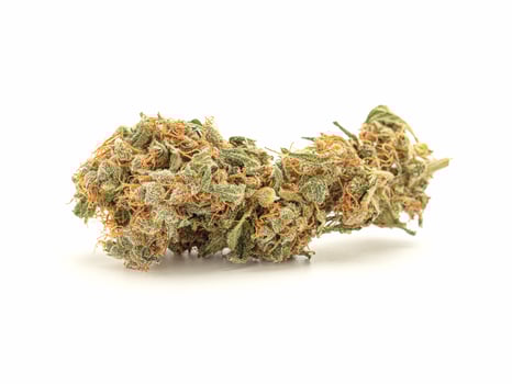 Dry cannabis buds flowers on a white background photo