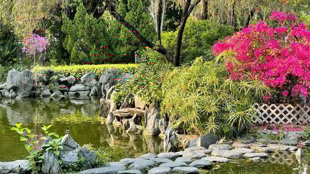 Pink flowers, plants, green trees, stone path and water pond in public outdoor park photo