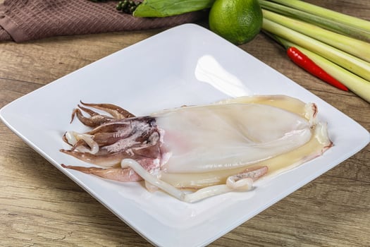 Raw fresh cuttlefish for cooking photo