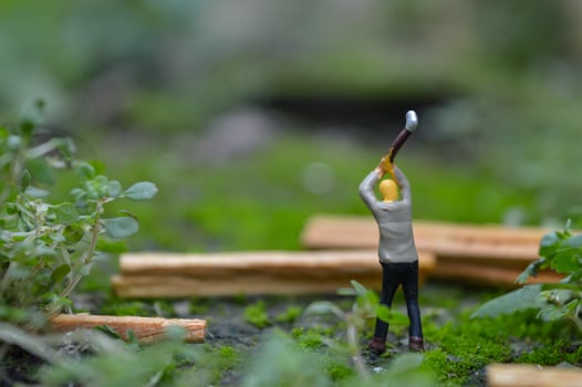 A diorama is a three-dimensional miniature depicting a particular scene or scene. A diorama depicting someone cutting wood. photo