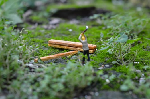 A diorama is a three-dimensional miniature depicting a particular scene or scene. A diorama depicting someone cutting wood. photo