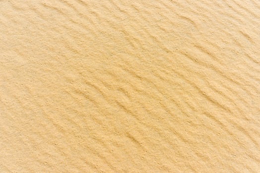 Top view of a sand sea bottom photo