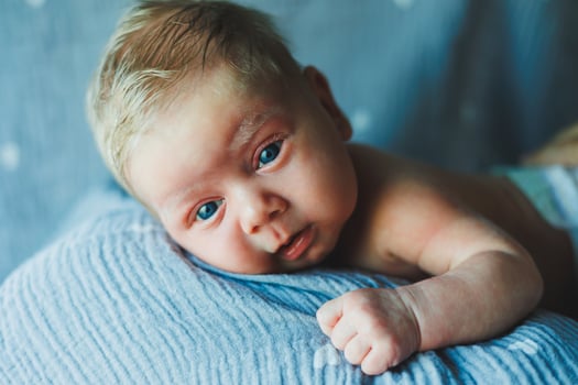 A close-up of a newborn baby's face. A newborn is looking at the camera. Open eyes of a newborn baby photo