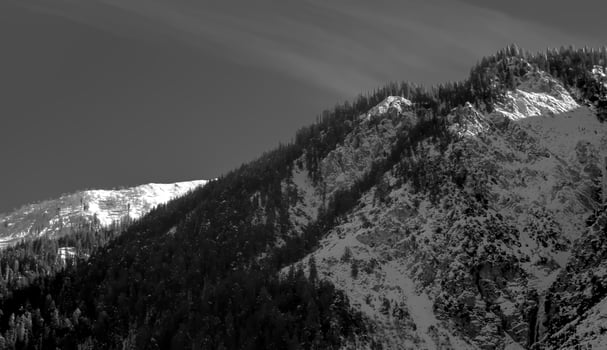 Black and White Photograph of a Sunlit Mountainside with a Forest photo