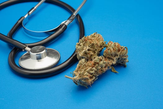 Dried marijuana buds flower and a stethoscope on a blue background photo