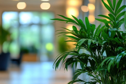 A potted plant in a large office building photo
