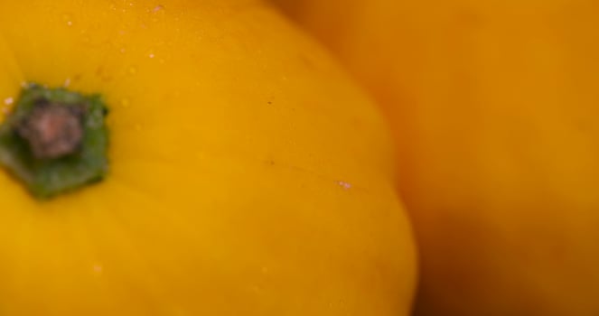 small delicious ripe yellow squash photo
