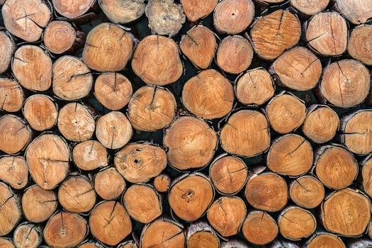 Pile of wood logs texture cutted background photo
