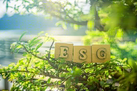 sustainable ESG modernization development by using photo