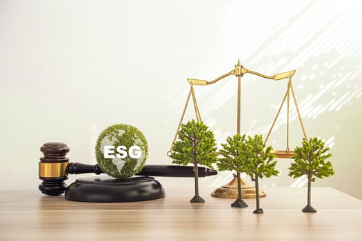 law net zero Environment Law. lawmaker and lawyer signed draft photo