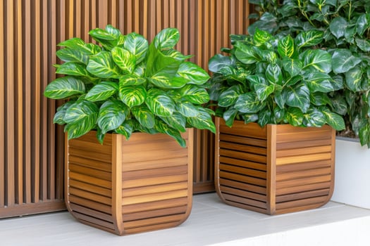 Modern home garden with decorative wooden planters and vibrant green foliage in a stylish outdoor space photo
