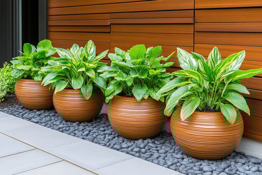 Modern home garden features wooden planters and lush green plants with terracotta accents in an inviting outdoor space photo