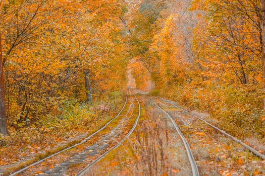 Autumn forest through which the tram travels, Kyiv and rails photo