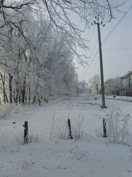 Winter Wonderland A Beautiful SnowCovered Landscape Full of Chill and Cozy Atmosphere photo