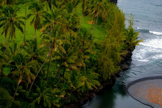 Palm Trees Lining A Bay Inlet in Maui, Hawaii photo
