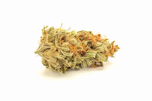 Dry cannabis buds flowers are on a white background photo