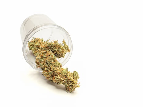 Dried cannabis buds outside of a plastic box on a white background photo