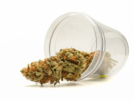 Dry cannabis buds outside of a plastic box on a white background photo