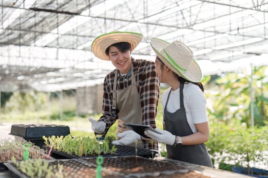 Modern Farmer Couple Cultivating Herbs and Cannabis in a Greenhouse Setting with Sustainable Practices photo