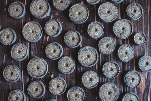 Peat tablets for growing plant seedlings on a wooden brown background photo