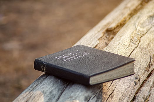 Person holding a Bible in the air photo